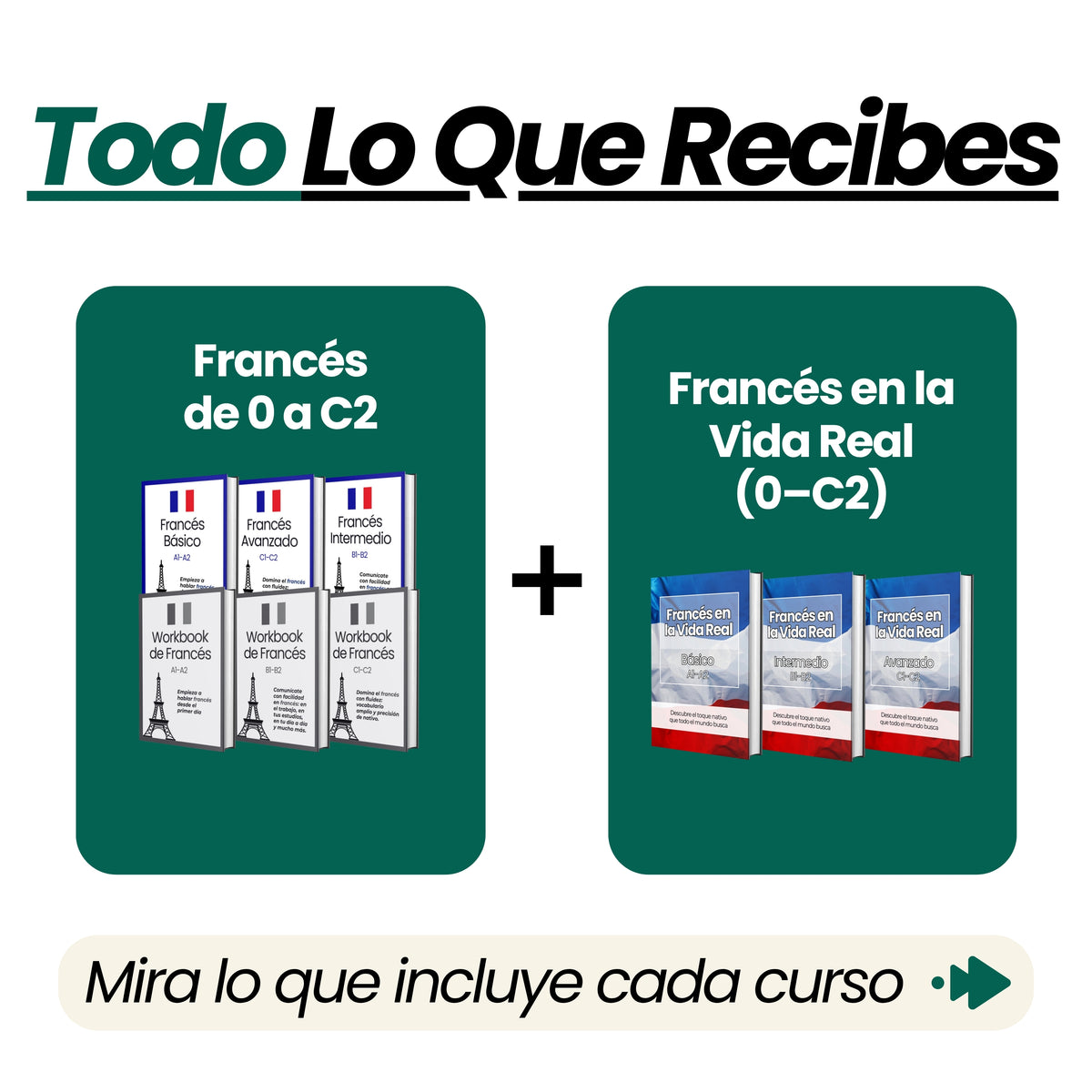 Curso Completo de Francés (de 0 a C2 + Francés en la Vida Real)