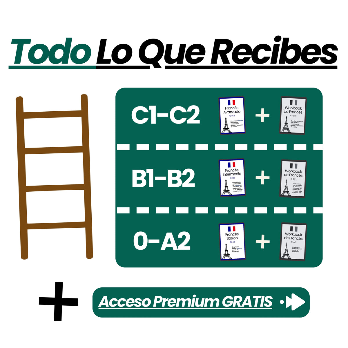 Francés de 0 a C2