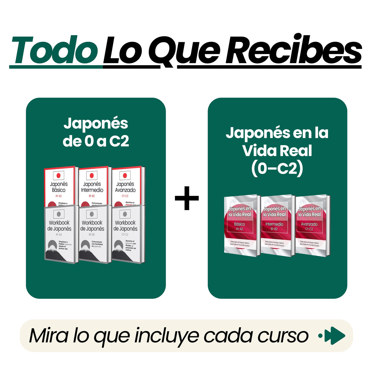 Curso Completo de Japonés (de 0 a C2 + Japonés en la Vida Real)